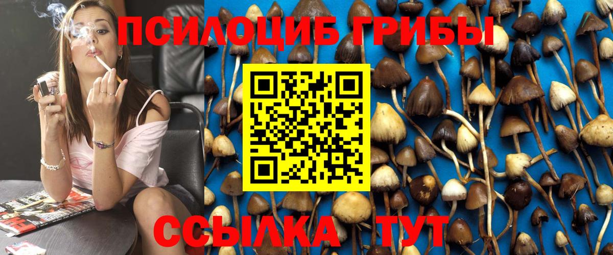 Дзержинский  Псилоцибиновые грибы прущие грибы  Псилоцибиновые грибы Magic Shrooms  Вход с VPN 