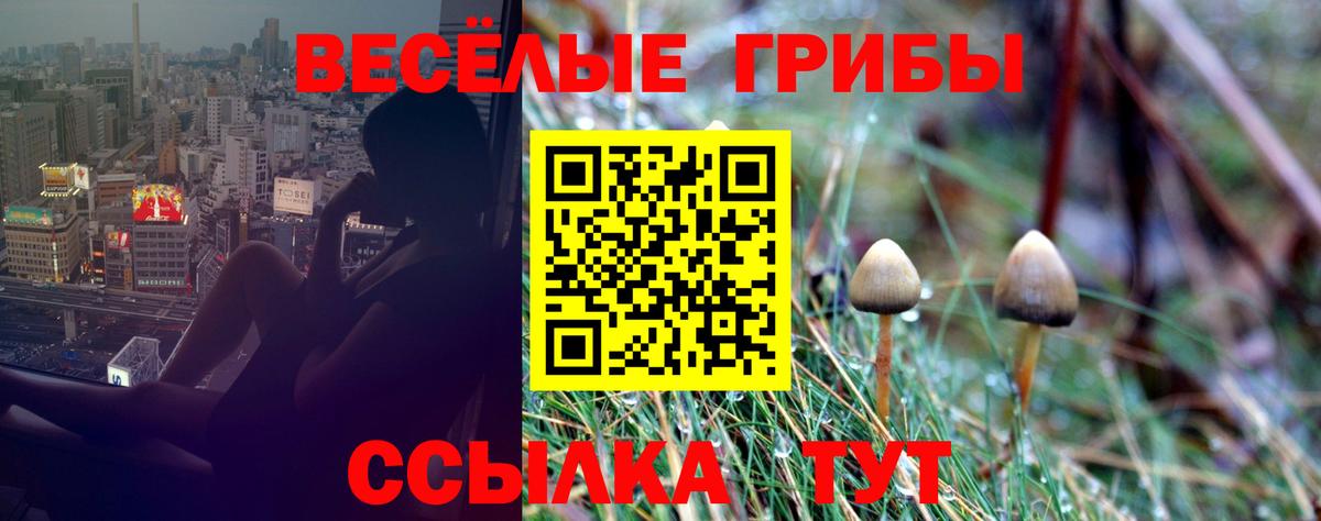 Галлюциногенные грибы мухоморы Дзержинский